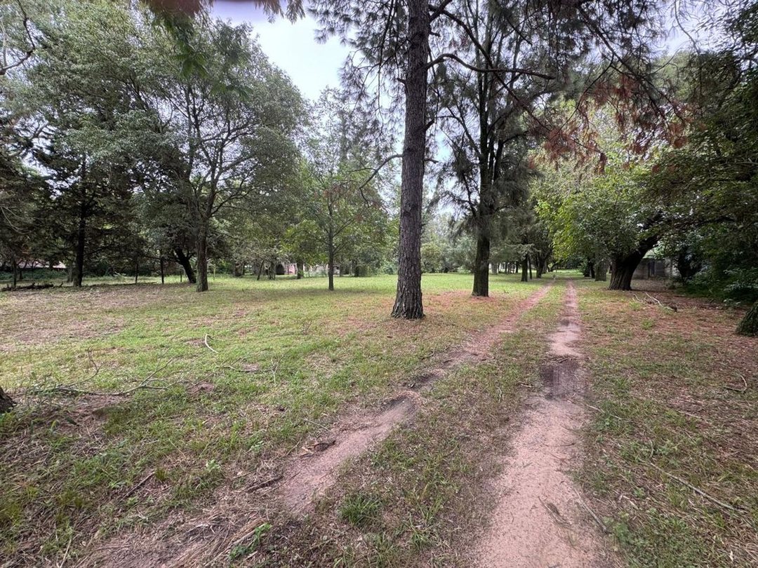 principal